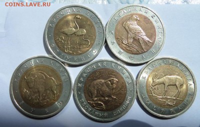 Красная Книга 1994 с 200р до 22:20 08.04.2017 - SAM_3687 (Копировать).JPG