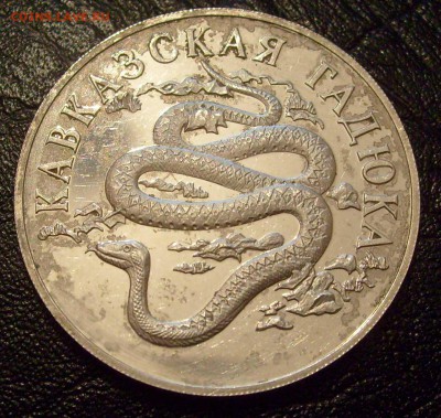 1р1999 Кавказская Гадюка, Ag, пруф, до 07.06.17. 22:00 мск - Гадюка-1.JPG