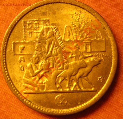 Пирамида, 1 - DSCN3100