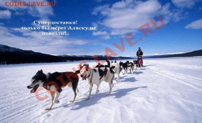 Супердоставка!!!! - 18.02
