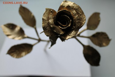 Кованная роза - IMG_8301.JPG