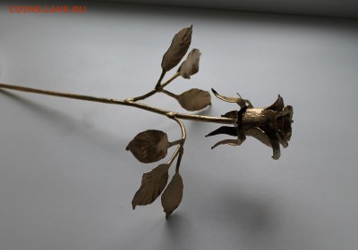 Кованная роза - IMG_8298.JPG