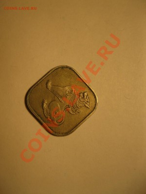 Помогите с  оценкой  нескольких монет - IMG_0926[1].JPG