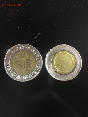 Брак или рукоблуды? - IMG_8552.JPG