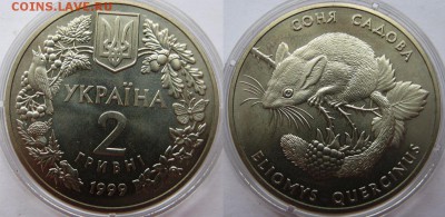 Украина 2 гр. Соня садовая.  До 06.06. в 22-00Мск - Соня садовая