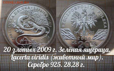 Польша 20 злотых 2009 Зелёная ящерица Серебро - аук