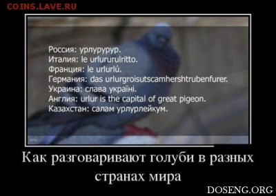 юмор - 1495749996_11