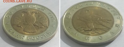 Красная книга. 50 рублей 1994 Сапсан. до 07.06.17. - 50р. 94 сапсан 2