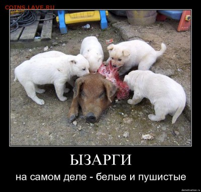 Есть ли у вас экстрасенсорные способности? - 8dquwtthsmlp