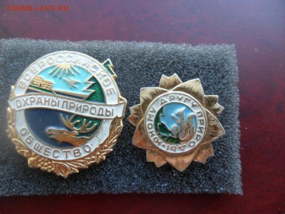 Охрана природы. Юному другу природы. - SAM_1097.JPG