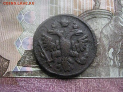 Полушка 1736г. До 8.06.2017г. - 033.JPG