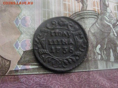 Полушка 1736г. До 8.06.2017г. - 031.JPG
