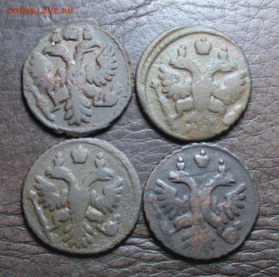 полушки 4 шт.1735.36.37(перегодовка 36-37) и 1740 до 8.06.17 - IMG_4715.JPG