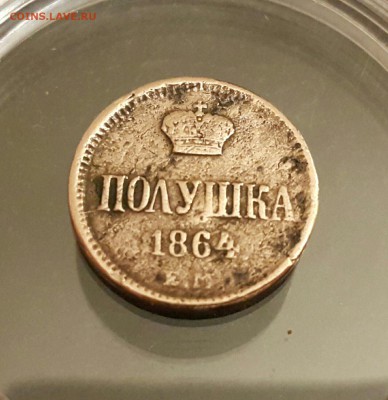 Помощь в оценке монеты ПОЛУШКА 1864 год Е.М - CM170606-222417004-1