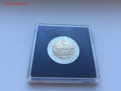Полный набор КРАСНАЯ КНИГА-15 шт - IMG_0702.JPG
