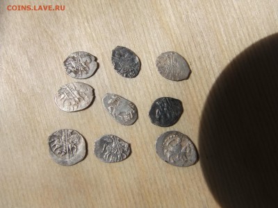 9 чешуек на определение - DSCF0072.JPG