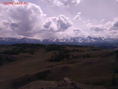 ФОТО - просто фото. Те что получились удачными. - P_20170607_145258
