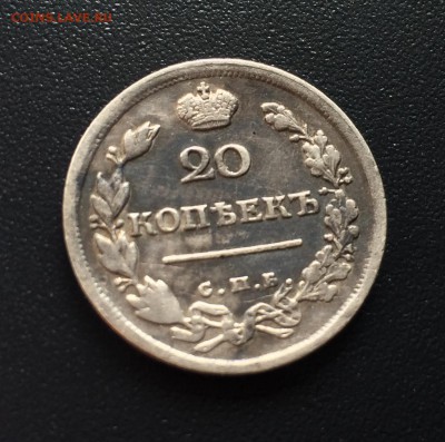 20 копеек 1817 год СПБ ПС  короткий - IMG_1080