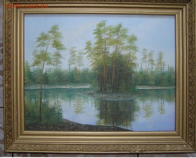 Картина. "Сосны на островке" Холст, масло, красивая рама - сосны.JPG