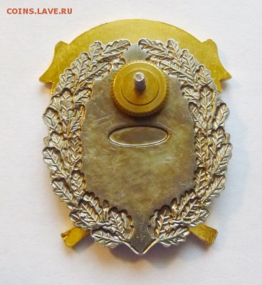 до 22-00мск 10.06.17 - P1020728.JPG