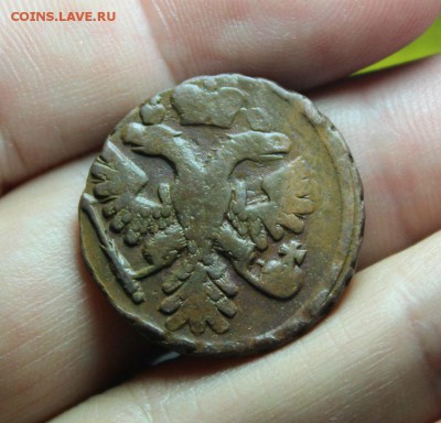 денга 1741 орёл с остями в крыльях. кладовая до 11.06.17 - IMG_4882.JPG