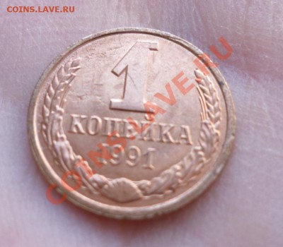 1 копейка 1991  Легкая  . Что с ней? - P1020193.JPG