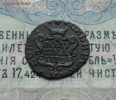 Сибирская полушка 1775 года. До 12.06.17. - DSC07415.JPG