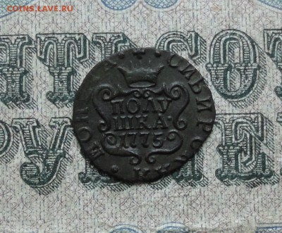 Сибирская полушка 1775 года. До 12.06.17. - DSC07413.JPG