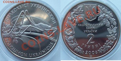 Украина пилкохвост ( кузнечик) до 22-00 21.02.2011 - 100_2057