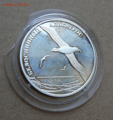 2 рубля белоспинный альбатрос 2010 до 13.06 до 22-10 - 20 (2).JPG