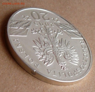 20 ZL 2005 Польша, филин до 13.06 с 1500 до 22-10 - 38 (3).JPG