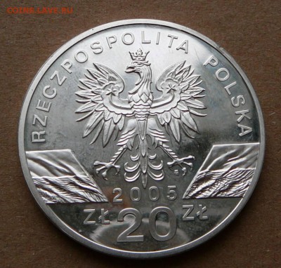 20 ZL 2005 Польша, филин до 13.06 с 1500 до 22-10 - 38 (1).JPG