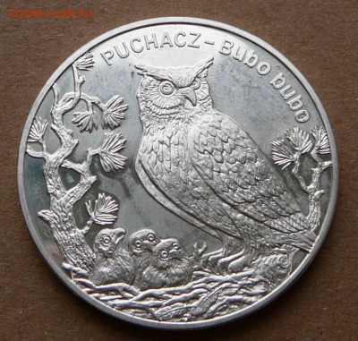 20 ZL 2005 Польша, филин до 13.06 с 1500 до 22-10 - 38 (2).JPG