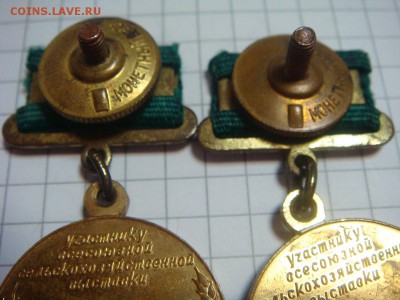 Участнику ВСХВ-2 шт. - DSC06840.JPG