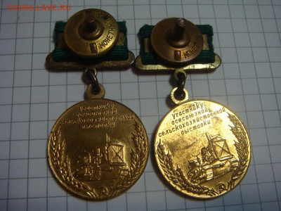 Участнику ВСХВ-2 шт. - DSC06839.JPG