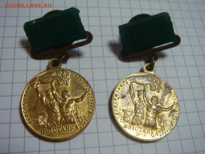 Участнику ВСХВ-2 шт. - DSC06838.JPG