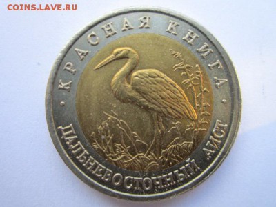 кк 1993 Аист до 14.06.2017 в 22:30 - IMG_3763.JPG