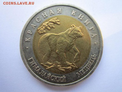 кк 1993 Медведь до 14.06.2017 в 22:30 - IMG_3769.JPG