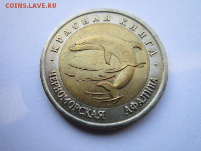 кк 1993 Афалина до 14.06.2017 в 22:30 - IMG_3772.JPG