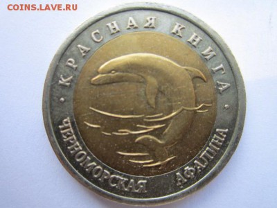 кк 1993 Афалина до 14.06.2017 в 22:30 - IMG_3771.JPG