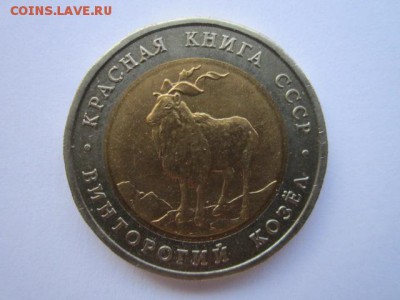 кк 1991 Козел до 14.06.2017 в 22:30 - IMG_3755.JPG