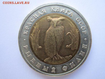 кк 1991 Филин до 14.06.2017 в 22:30 - IMG_3757.JPG