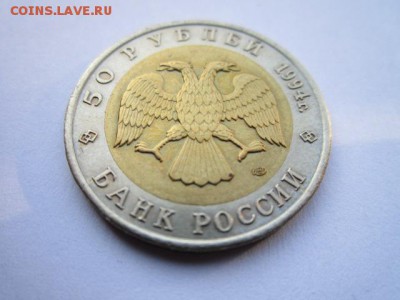 кк 1994 Зубр до 14.06.2017 в 22:30 - IMG_3781.JPG