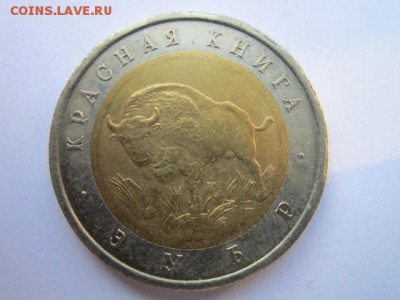 кк 1994 Зубр до 14.06.2017 в 22:30 - IMG_3778.JPG