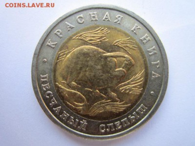 кк 1994 Слепыш до 14.06.2017 в 22:30 - IMG_3774.JPG