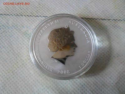 1$  08г. Австралия,Мышь.  до15.06. - SAM_0101.JPG