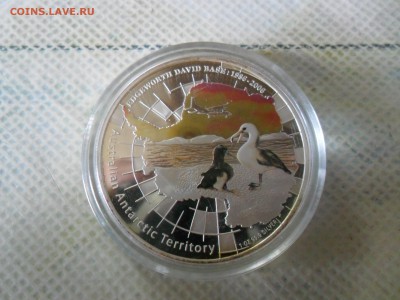 1$ Австралия,альбатрос.   до15.06. - SAM_0105.JPG