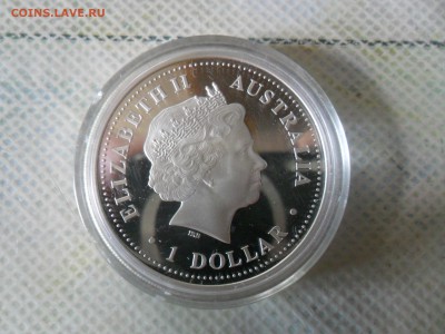 1$ Австралия,альбатрос.   до15.06. - SAM_0104.JPG