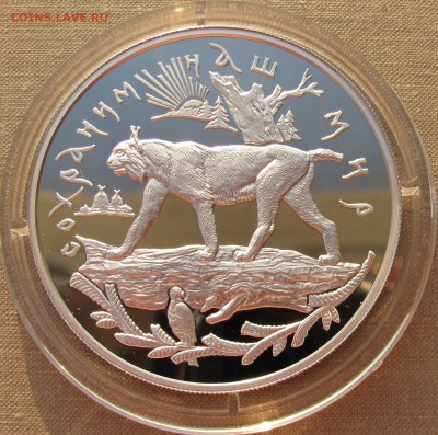 25 рублей 1995 года. Рысь. Ag До 15.06.17 22-00 МСК - 25р 1995 Рысь 1.JPG