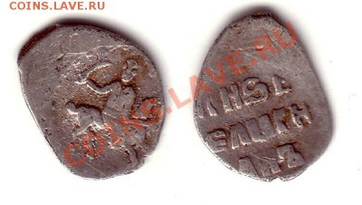какая-то чешуйка - 904ed2857cdb06b78293f76f5fb4742c